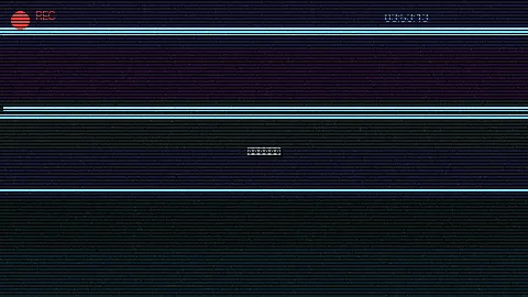 周末随拍记录 - 迷羊 给我豹豹 原创视频
